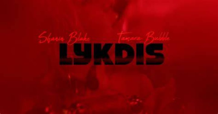 Shanin Blake x Tamara Bubble Lyk Dis [Official Audio] YouTube